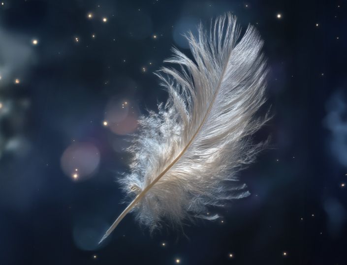 Webseite_ 706x540px.jpg Webseite_ 706x540px