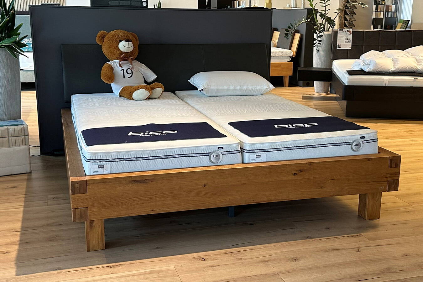 Hasena Pilatus Bettrahmen Abverkauf ab St. Gallen Hasena Pilatus Bettrahmen Abverkauf ab St. Gallen